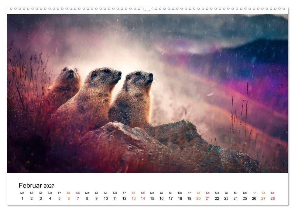 Hallo Murmeltier (CALVENDO Wandkalender 2027)