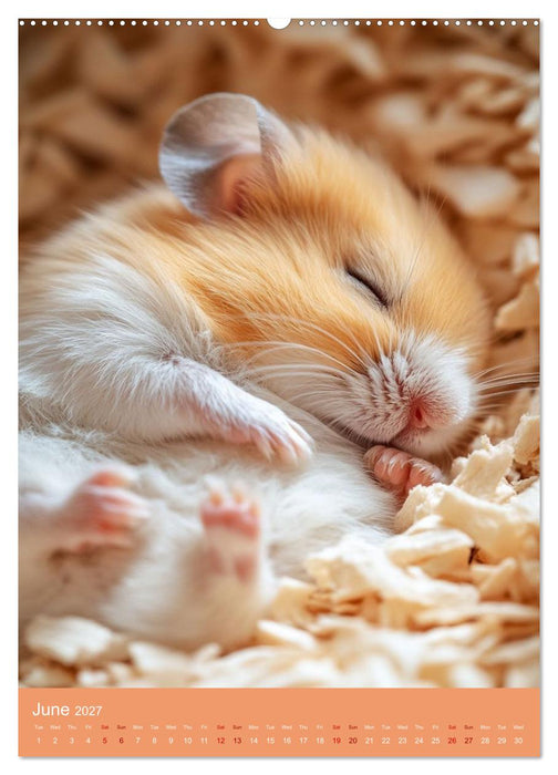 Golden Hamster Snapshots (CALVENDO Premium-Calendar 2027)