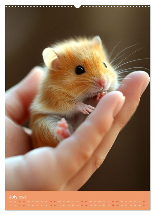Golden Hamster Snapshots (CALVENDO Premium-Calendar 2027)