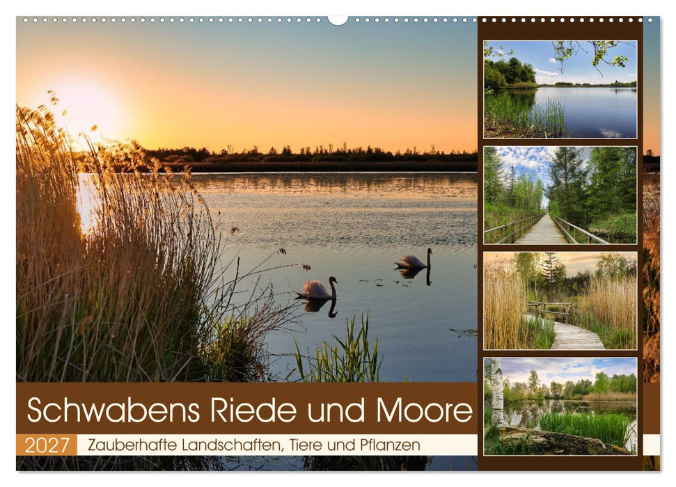 Schwabens Riede und Moore (CALVENDO Wandkalender 2027)