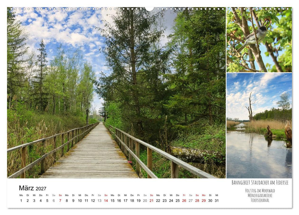 Schwabens Riede und Moore (CALVENDO Wandkalender 2027)