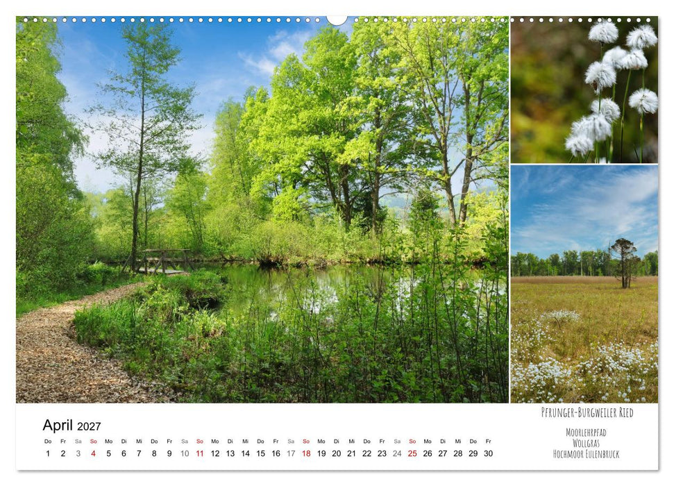 Schwabens Riede und Moore (CALVENDO Wandkalender 2027)