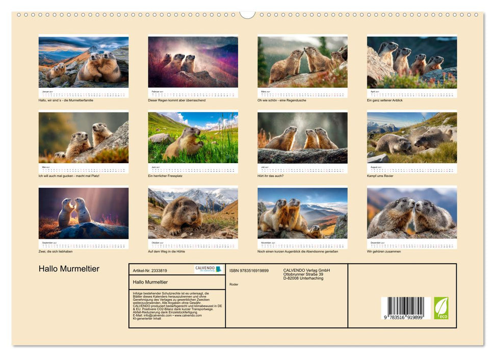 Hallo Murmeltier (CALVENDO Premium Wandkalender 2027)