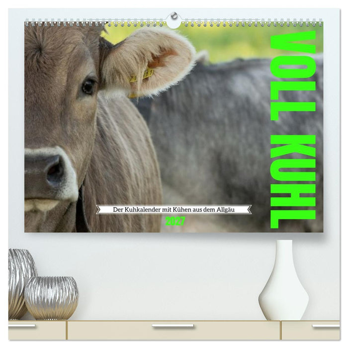 Voll kuhl - der Kuhkalender mit Kühen aus dem Allgäu (CALVENDO Premium Wandkalender 2027)
