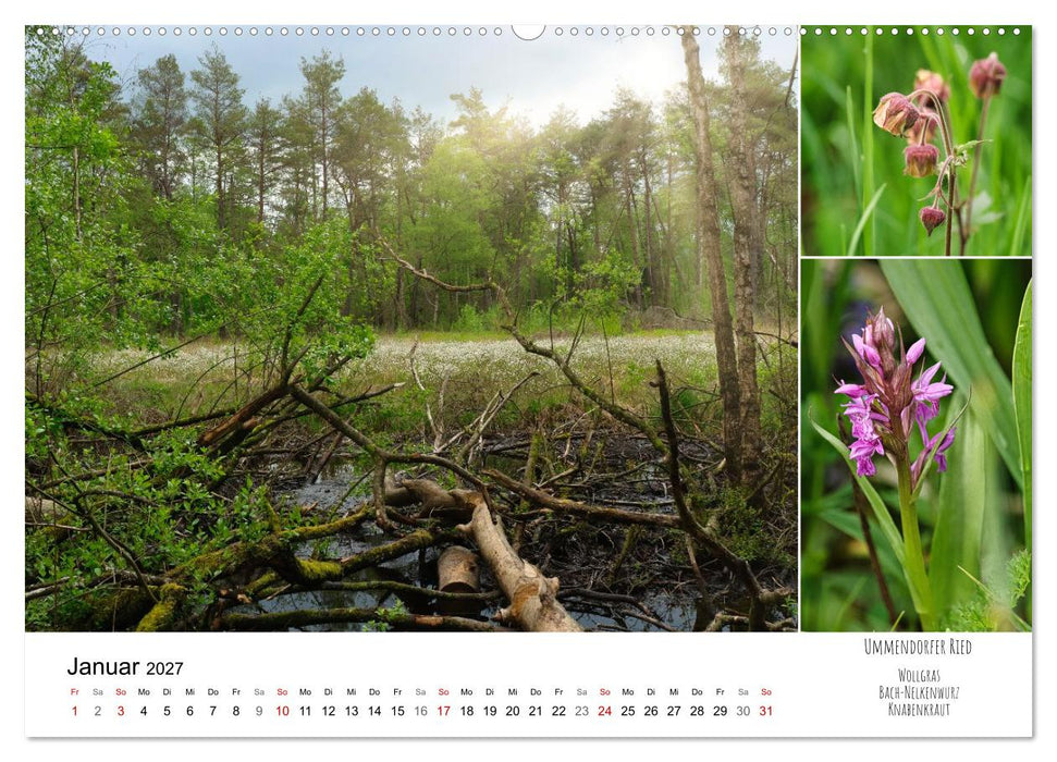 Schwabens Riede und Moore (CALVENDO Premium Wandkalender 2027)
