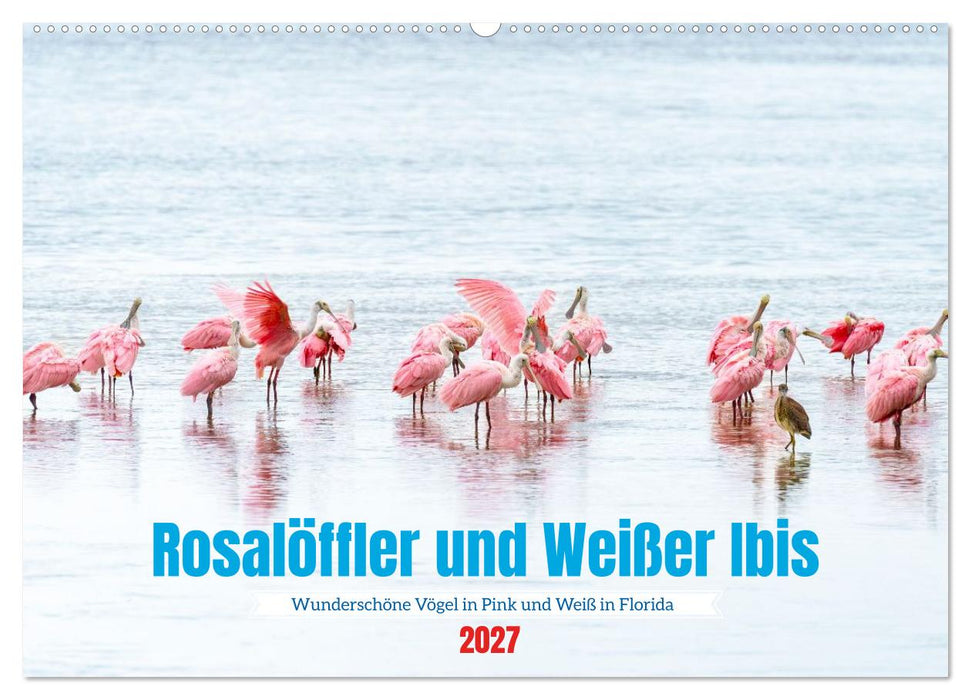 Rosalöffler und weißer Ibis (CALVENDO Wandkalender 2027)