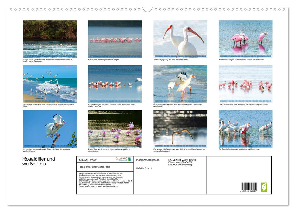 Rosalöffler und weißer Ibis (CALVENDO Wandkalender 2027)