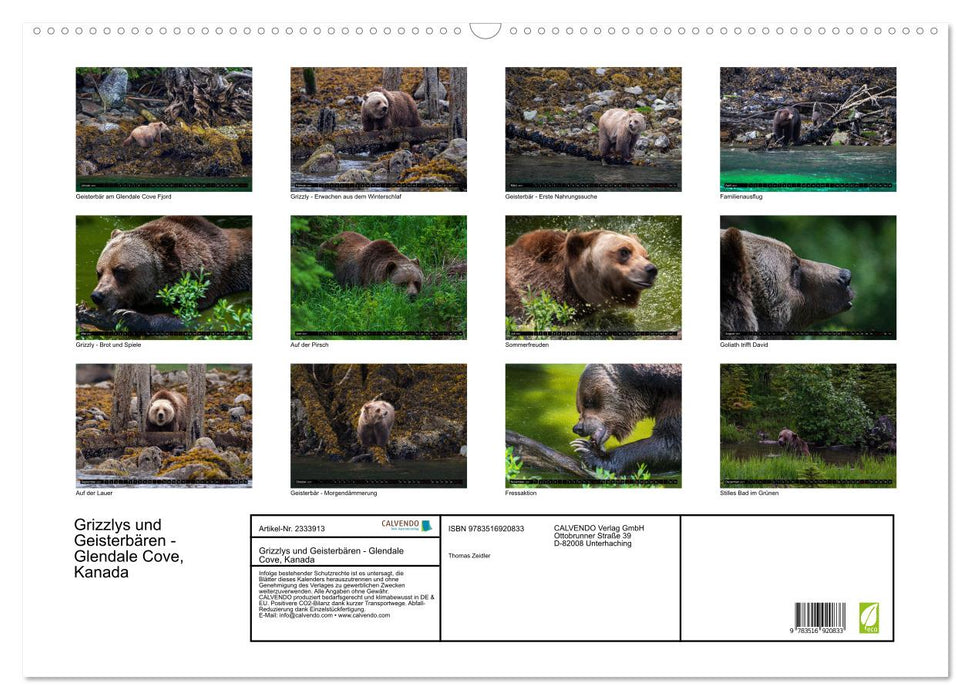 Grizzlys und Geisterbären - Glendale Cove, Kanada (CALVENDO Wandkalender 2027)