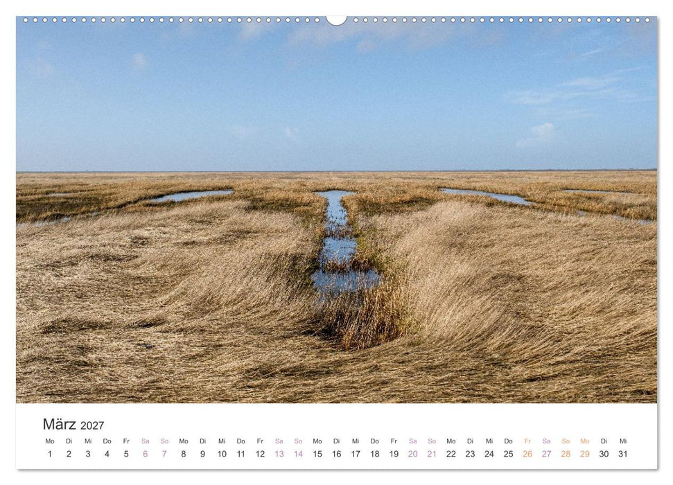 Hamburger Hallig - Der Weg ist das Ziel (CALVENDO Premium Wandkalender 2027)