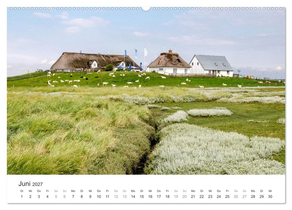Hamburger Hallig - Der Weg ist das Ziel (CALVENDO Premium Wandkalender 2027)