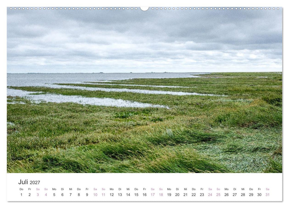 Hamburger Hallig - Der Weg ist das Ziel (CALVENDO Premium Wandkalender 2027)