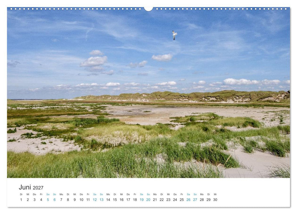 Amrum: Natur und Freiheit (CALVENDO Wandkalender 2027)