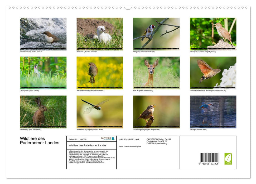 Wildtiere des Paderborner Landes (CALVENDO Premium Wandkalender 2027)