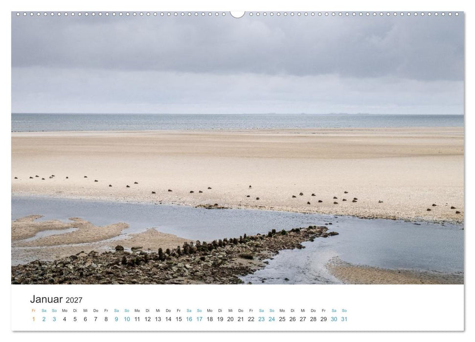 Amrum: Natur und Freiheit (CALVENDO Premium Wandkalender 2027)