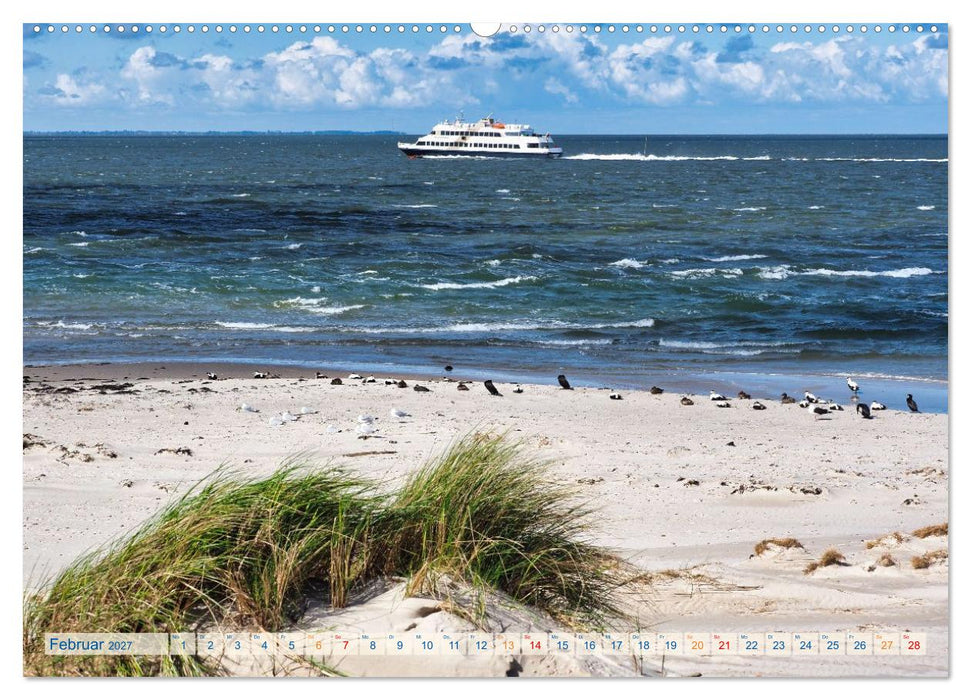 Amrum Glücksort (CALVENDO Wandkalender 2027)