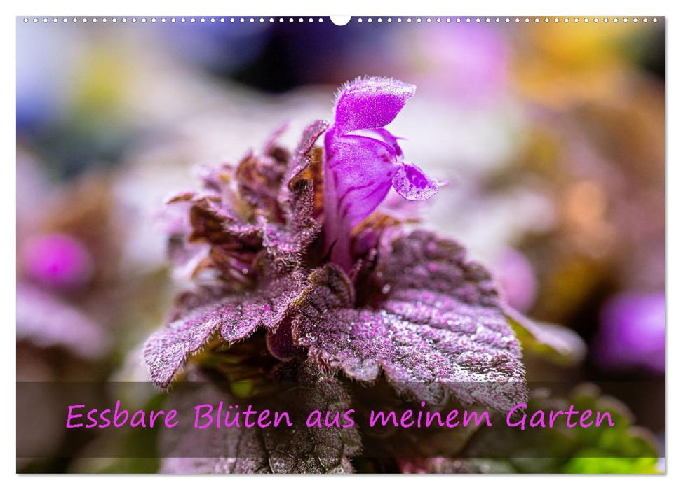 Essbare Blüten aus meinem Garten (CALVENDO Wandkalender 2027)