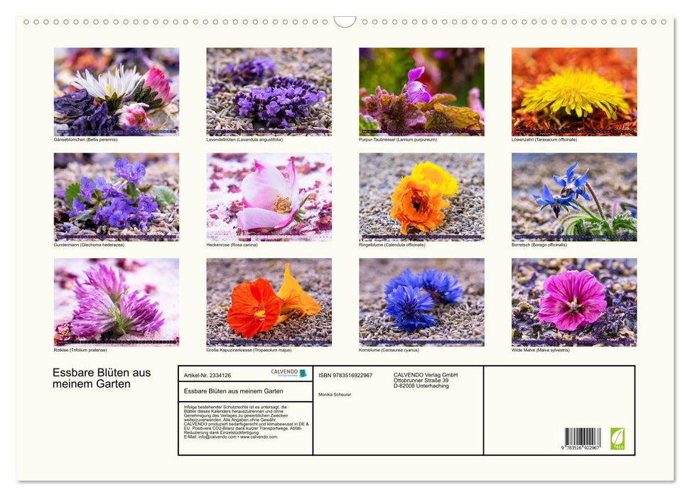 Essbare Blüten aus meinem Garten (CALVENDO Wandkalender 2027)