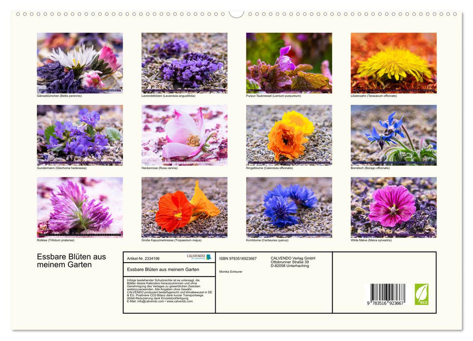 Essbare Blüten aus meinem Garten (CALVENDO Premium Wandkalender 2027)