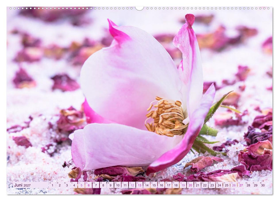 Essbare Blüten aus meinem Garten (CALVENDO Premium Wandkalender 2027)