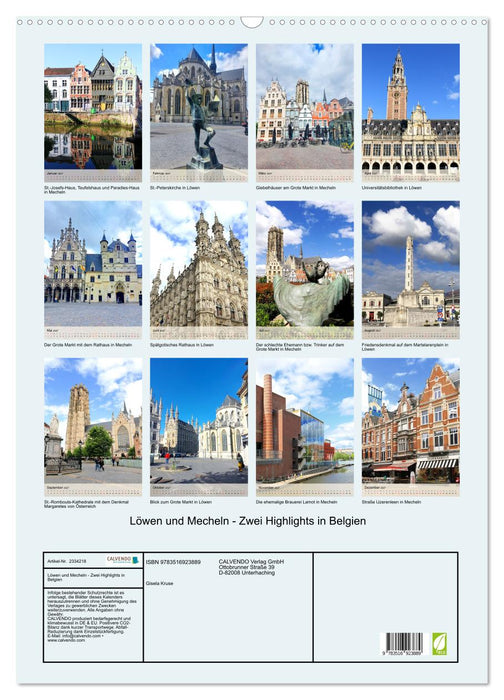 Löwen und Mecheln - Zwei Highlights in Belgien (CALVENDO Wandkalender 2027)