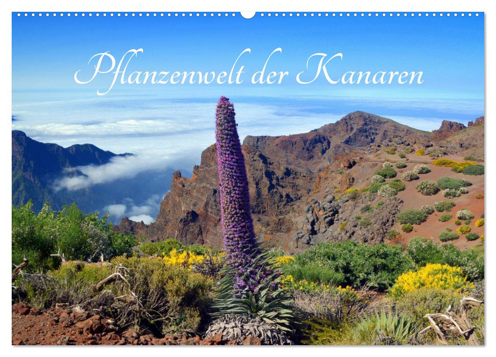 Pflanzenwelt Kanaren (CALVENDO Wandkalender 2027)