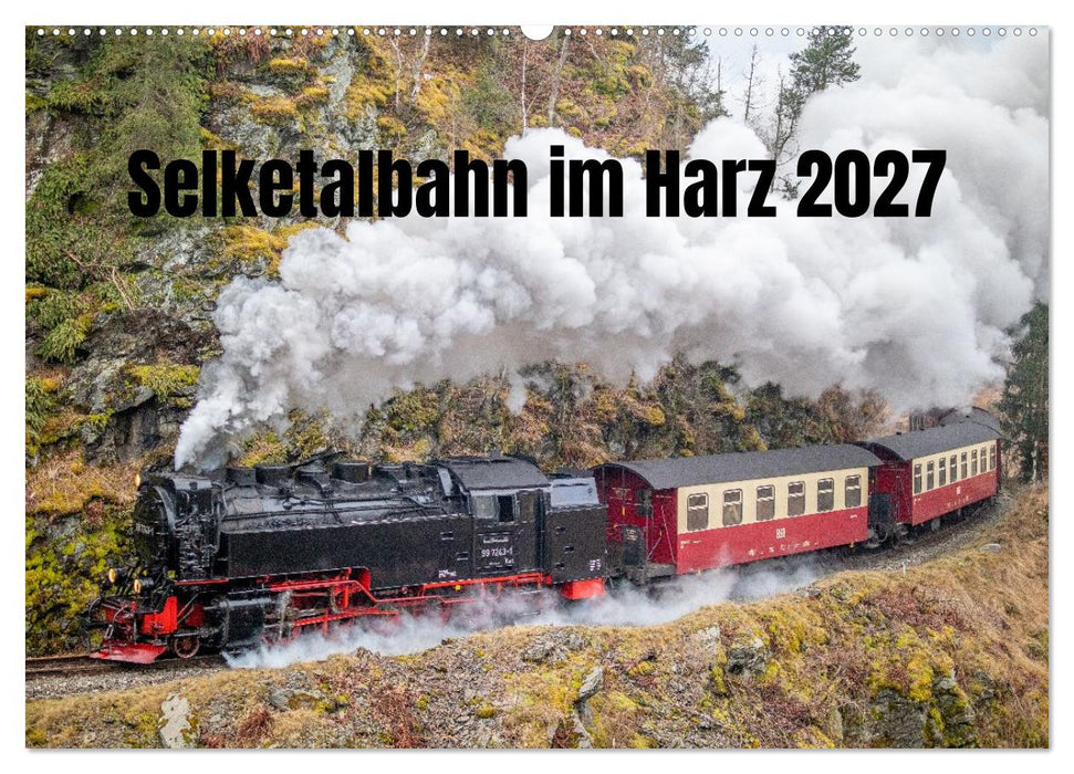 Selketalbahn im Harz (CALVENDO Wandkalender 2027)
