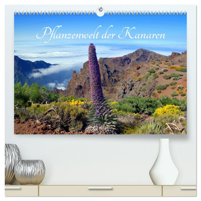 Pflanzenwelt Kanaren (CALVENDO Premium Wandkalender 2027)