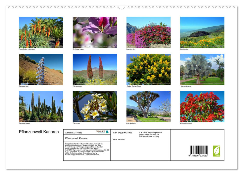 Pflanzenwelt Kanaren (CALVENDO Premium Wandkalender 2027)
