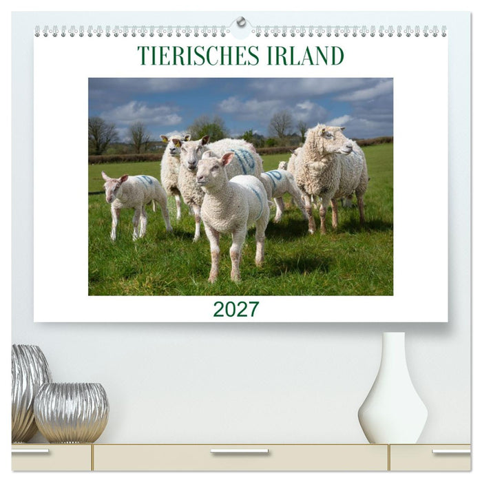 Irland erleben – Wo Schafe, Pferde und Kühe das Landschaftsbild prägen (CALVENDO Premium Wandkalender 2027)