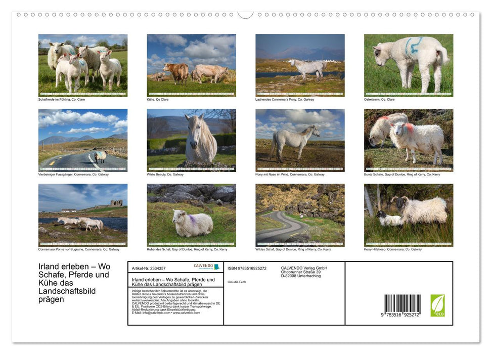 Irland erleben – Wo Schafe, Pferde und Kühe das Landschaftsbild prägen (CALVENDO Premium Wandkalender 2027)