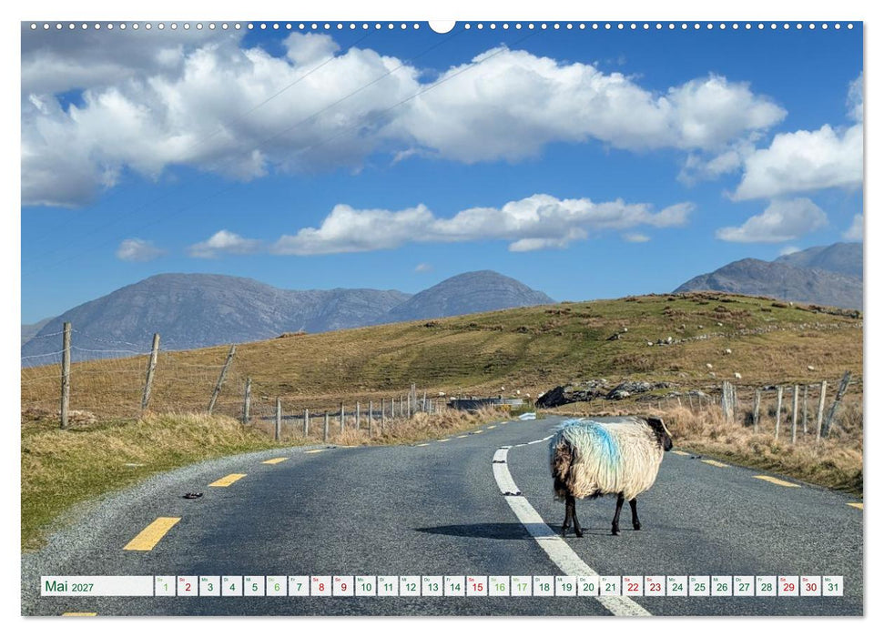 Irland erleben – Wo Schafe, Pferde und Kühe das Landschaftsbild prägen (CALVENDO Premium Wandkalender 2027)