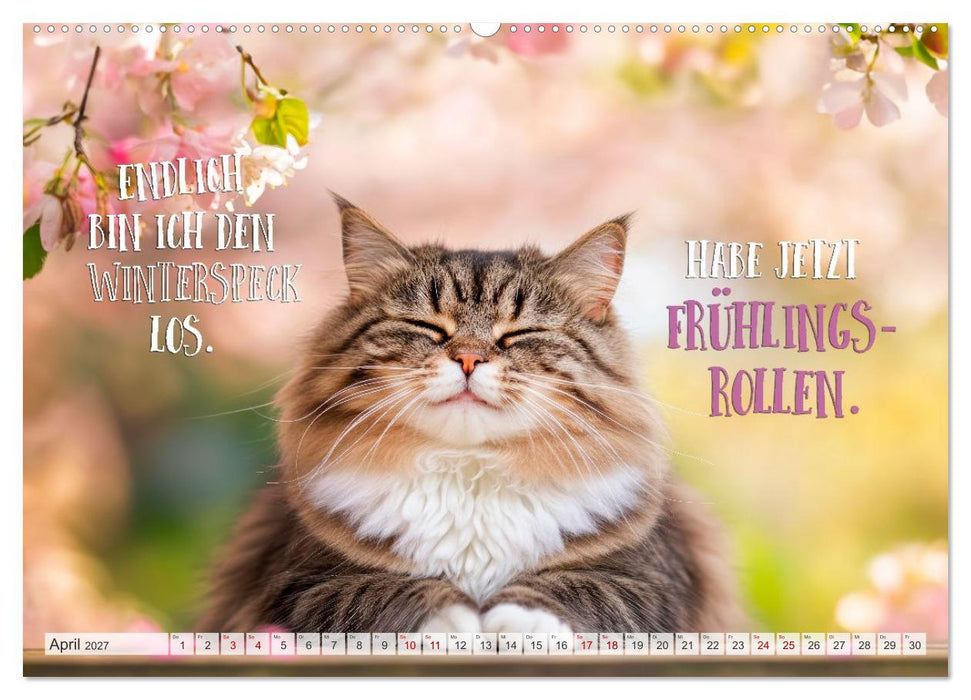 FLAUSCHFIGUR DELUXE Jeden Monat ein Häppchen Humor (CALVENDO Premium Wandkalender 2027)