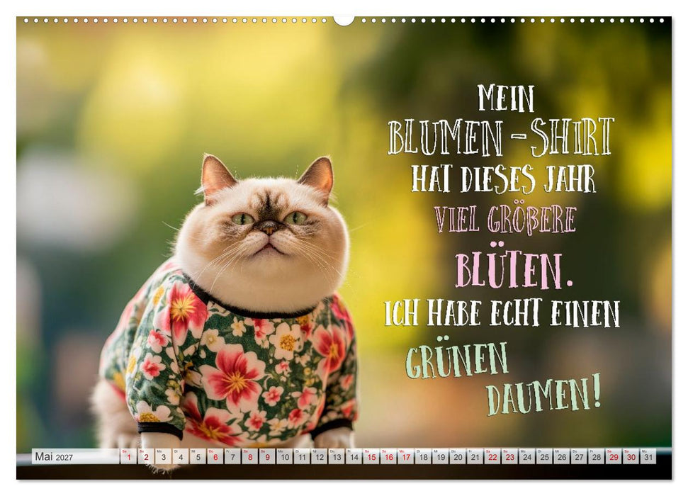 FLAUSCHFIGUR DELUXE Jeden Monat ein Häppchen Humor (CALVENDO Premium Wandkalender 2027)