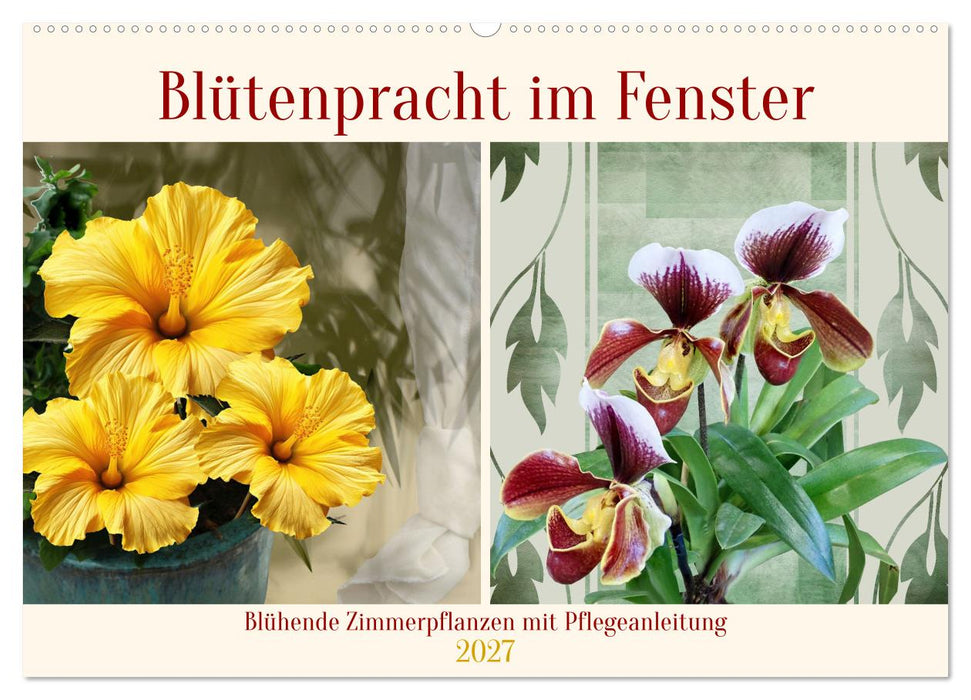 Blütenpracht am Fenster (CALVENDO Wandkalender 2027)