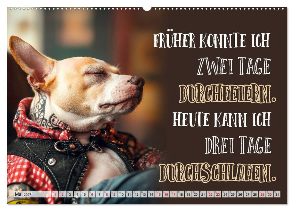 Wuffige Geburtstagsgrüße SPRÜCHE ZUM ÄLTERWERDEN (CALVENDO Premium Wandkalender 2027)