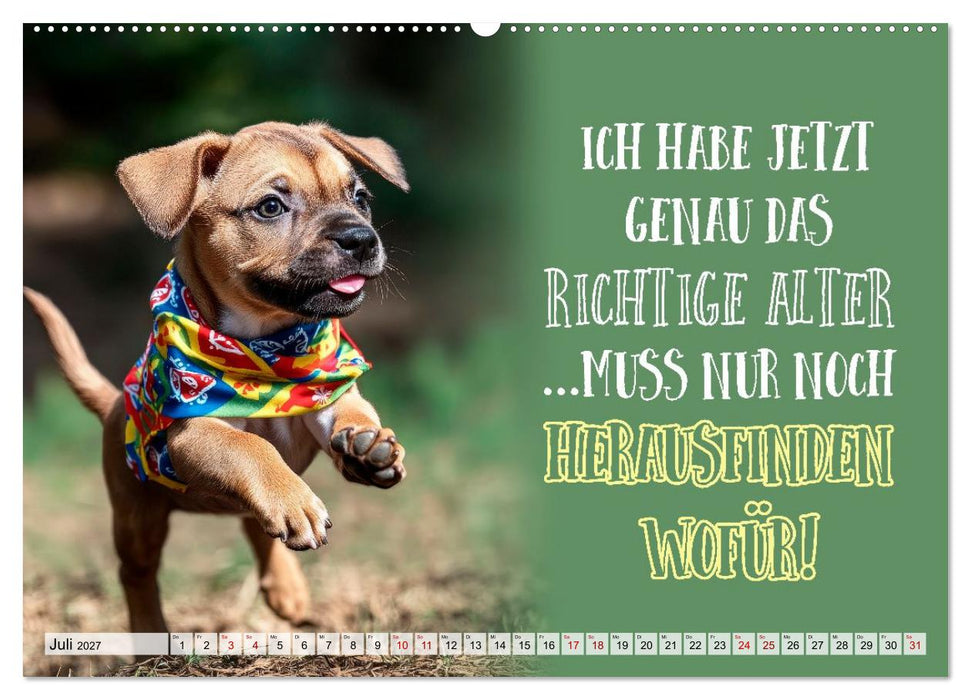 Wuffige Geburtstagsgrüße SPRÜCHE ZUM ÄLTERWERDEN (CALVENDO Premium Wandkalender 2027)