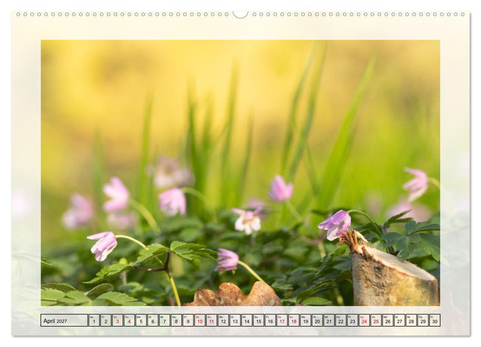 Jeden Monat in der Natur (CALVENDO Premium Wandkalender 2027)