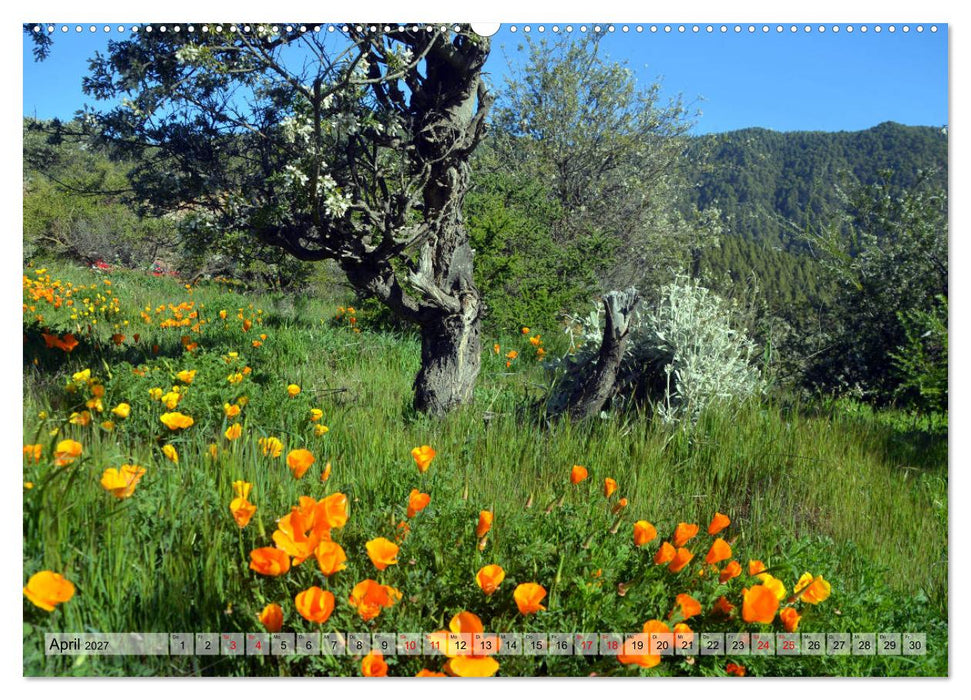 Teneriffa - Insel der Glückseligen (CALVENDO Wandkalender 2027)