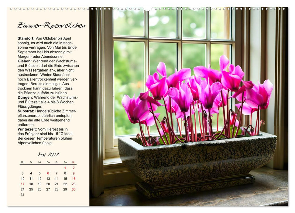 Blütenpracht am Fenster (CALVENDO Premium Wandkalender 2027)