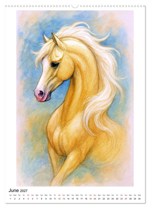 Enjoy Arabian Horses (CALVENDO Premium-Calendar 2027)