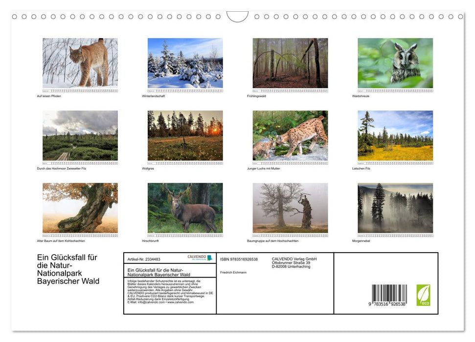 Ein Glücksfall für die Natur- Nationalpark Bayerischer Wald (CALVENDO Wandkalender 2027)