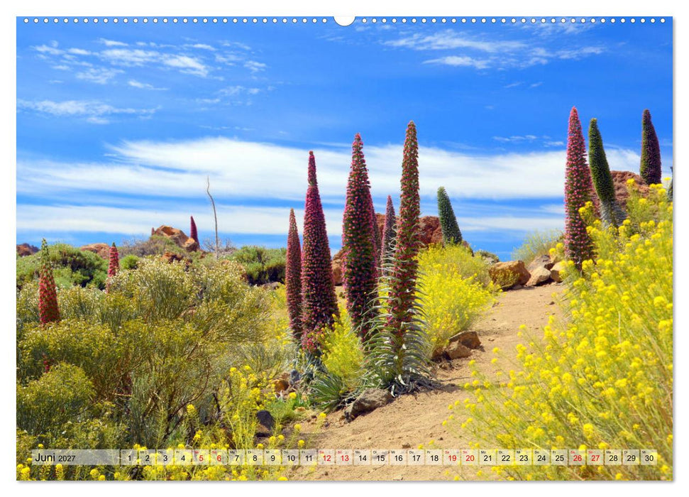 Teneriffa - Insel der Glückseligen (CALVENDO Premium Wandkalender 2027)