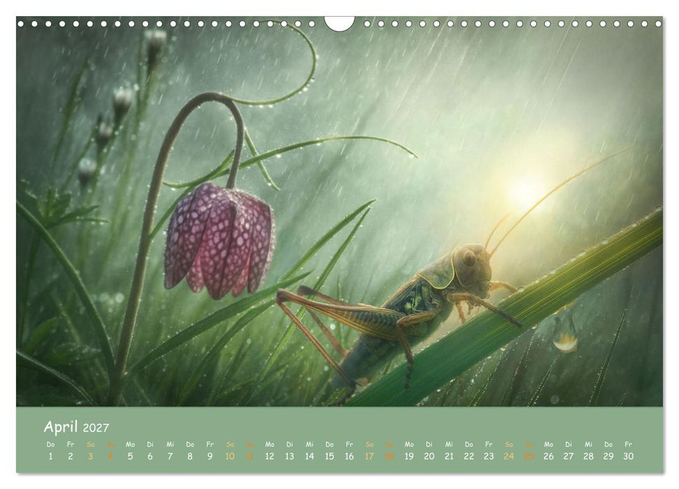 In feuchter Mission - Mistwetter Geschichten (CALVENDO Wandkalender 2027)