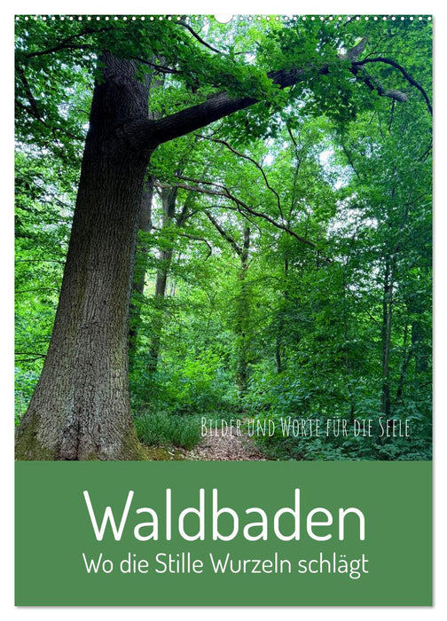 Waldbaden – Wo die Stille Wurzeln schlägt (CALVENDO Wandkalender 2027)