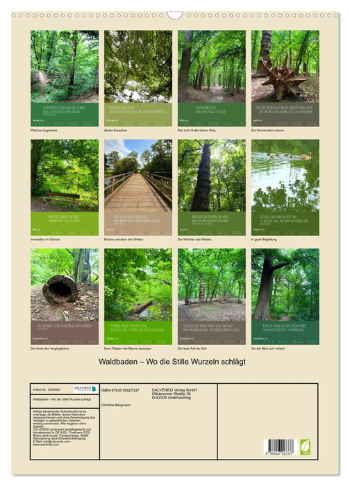 Waldbaden – Wo die Stille Wurzeln schlägt (CALVENDO Wandkalender 2027)