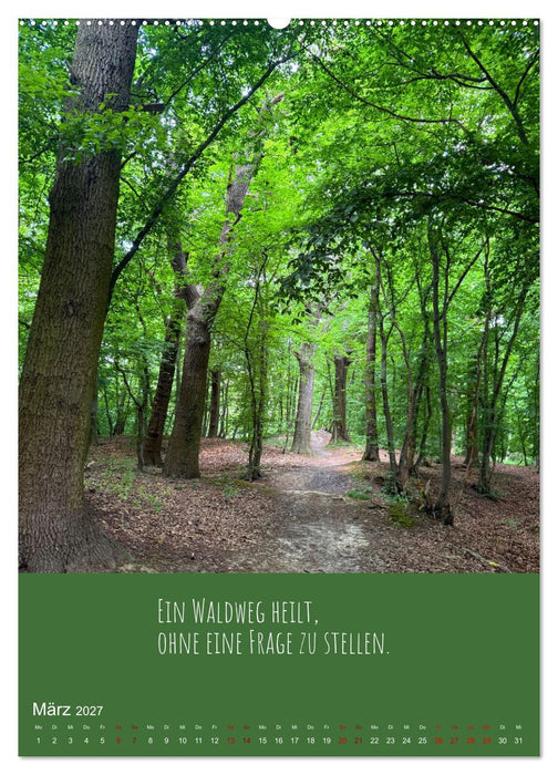 Waldbaden – Wo die Stille Wurzeln schlägt (CALVENDO Wandkalender 2027)