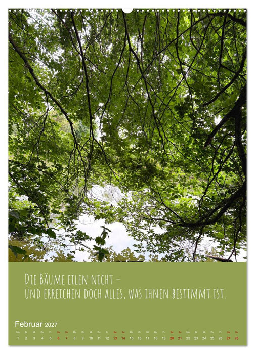 Waldbaden – Wo die Stille Wurzeln schlägt (CALVENDO Premium Wandkalender 2027)