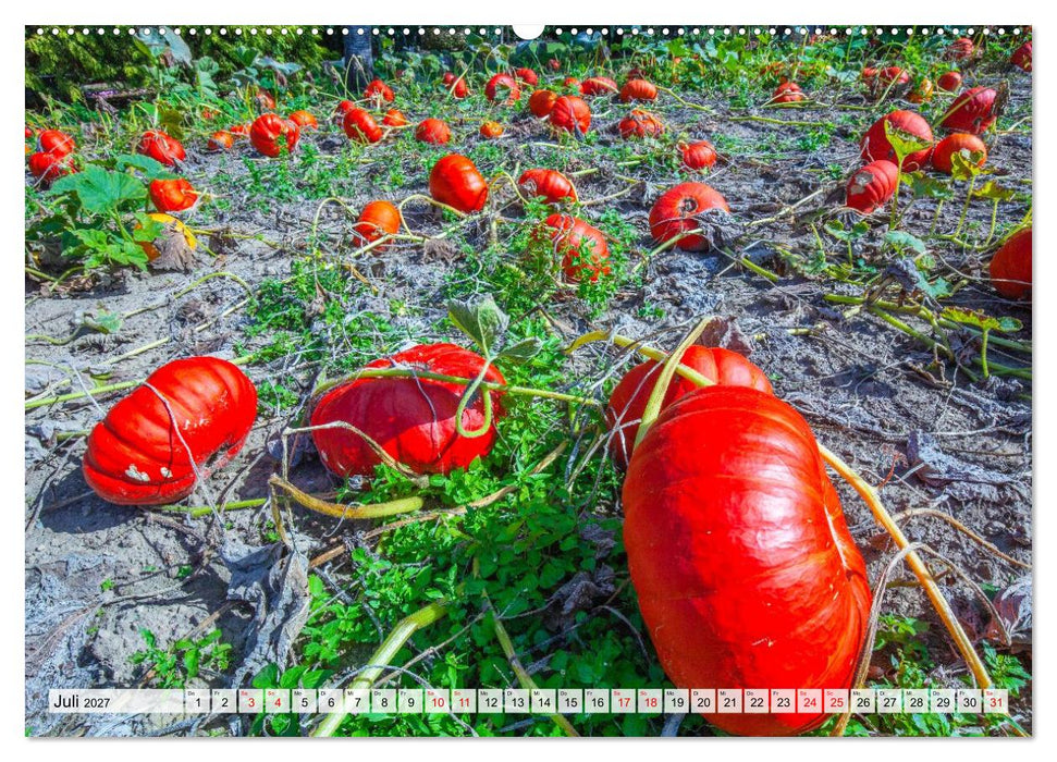 DIE FARBE ROT (CALVENDO Premium Wandkalender 2027)