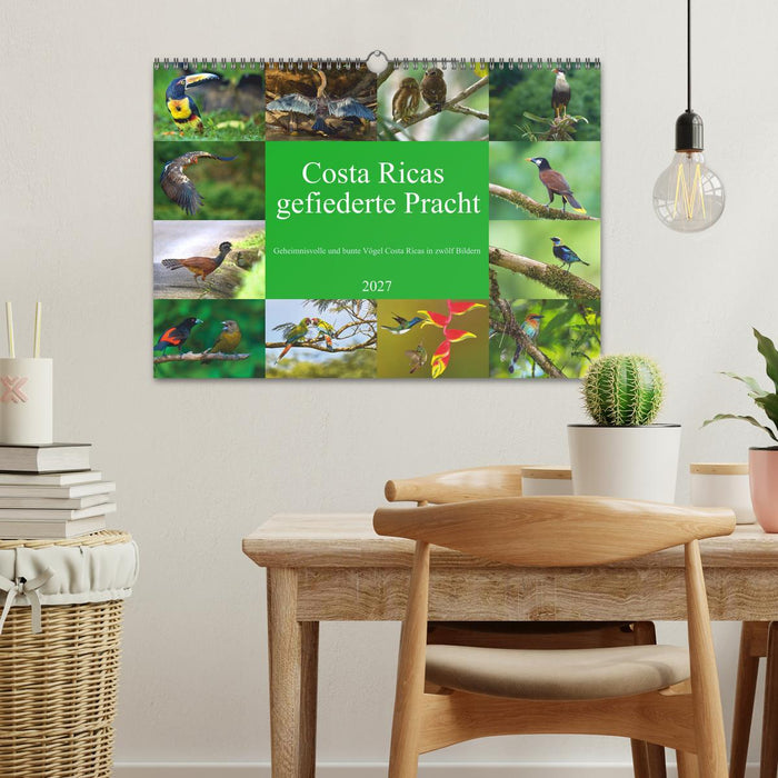 Costa Ricas gefiederte Pracht (CALVENDO Wandkalender 2027)
