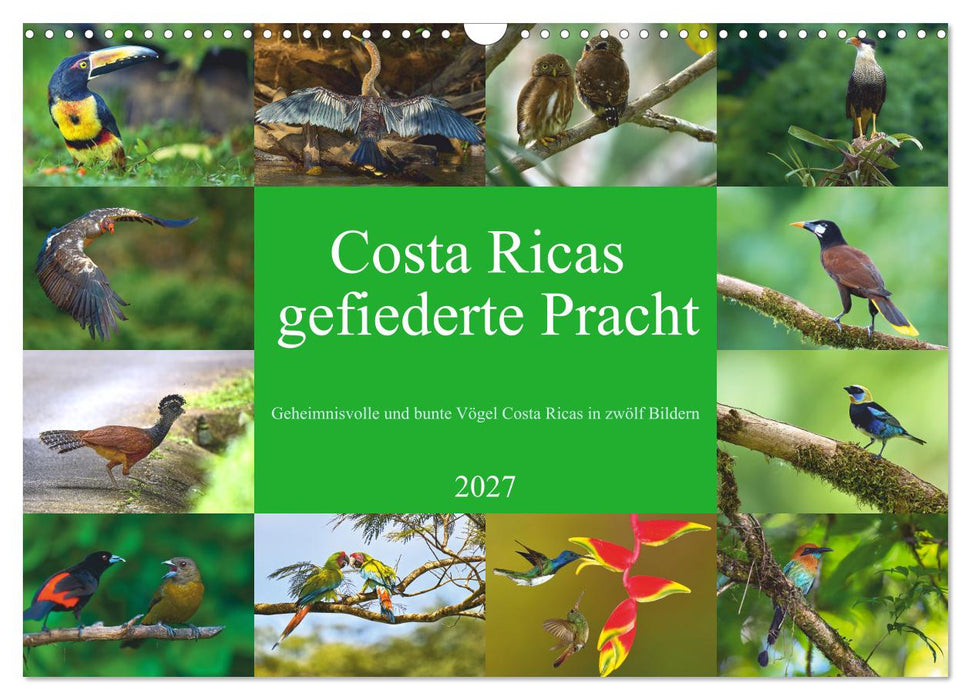 Costa Ricas gefiederte Pracht (CALVENDO Wandkalender 2027)